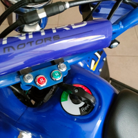 Quad elettrico
