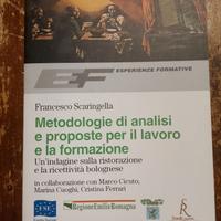 Metodologie analisi  proposte  lavoro/formazione