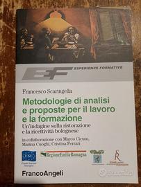 Metodologie analisi  proposte  lavoro/formazione