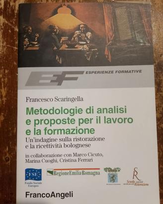 Metodologie analisi  proposte  lavoro/formazione