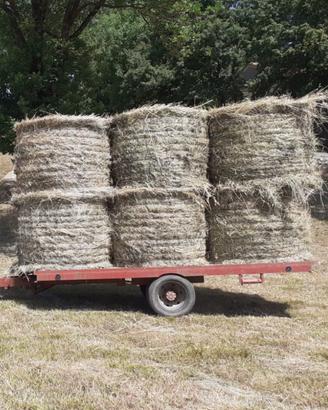 fieno in rotoli buon prodotto 