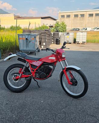 trial fantic 240 