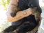 Immagine 5
