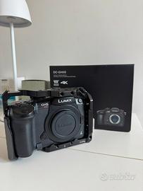 Lumix GH5 S