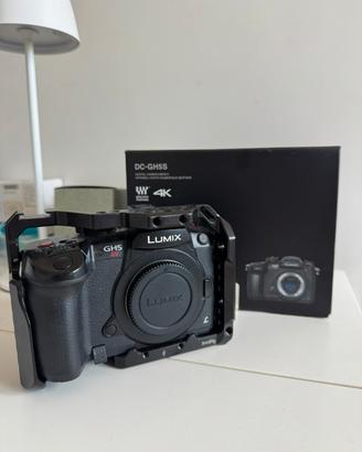 Lumix GH5 S