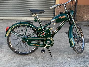 Aquilotto bianchi modello rapallo