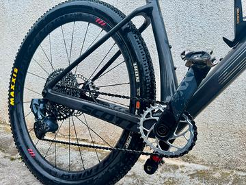 Scott scale 2023 tg.L