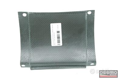 Chiusura anteriore codone carbonio Aprilia RSV 100