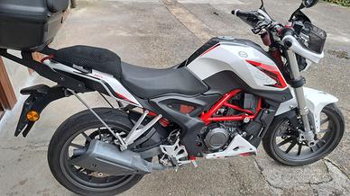BENELLI BN 251