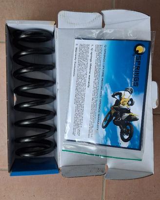 Molla mono per BETA RR