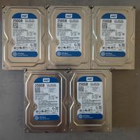 5x HDD WesternDigital Blue 250GB 3.5" SATA 7200rpm