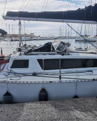 Barca a vela Feeling 346