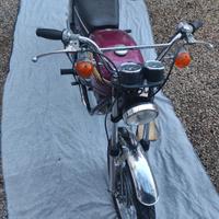 Harley-Davidson 350 ME AMF Aermacchi Targa Oro 
