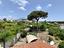 Immagine 9