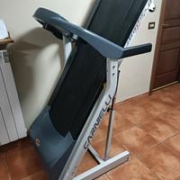 Tapirulant Carnielli