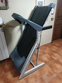 Tapirulant Carnielli