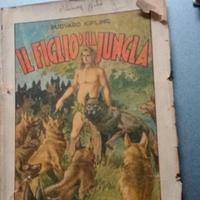 Il figlio della giungla