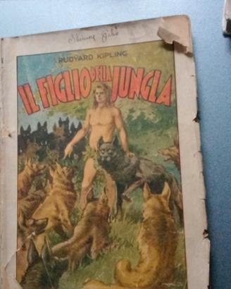 Il figlio della giungla