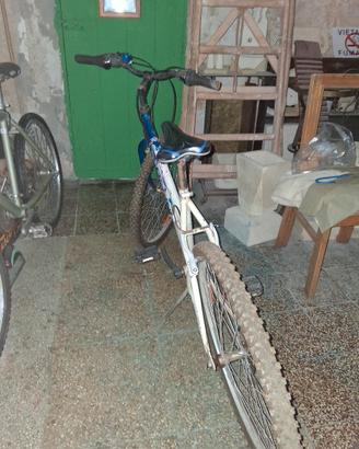 BICI REGINA
