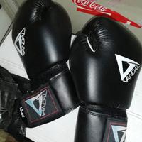 Guantoni Vandal, parastinchi e conchiglia Leone