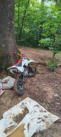 pit bike mobster b2 