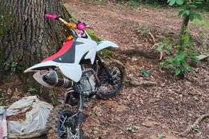 pit bike mobster b2 