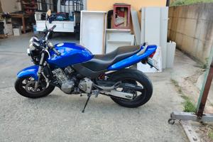 Honda Hornet  600