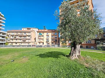 GRANDE BILOCALE con 2 BALCONI VISTA PARCO