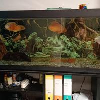 ACQUARIO DA 500 LITRI