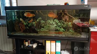 ACQUARIO DA 500 LITRI