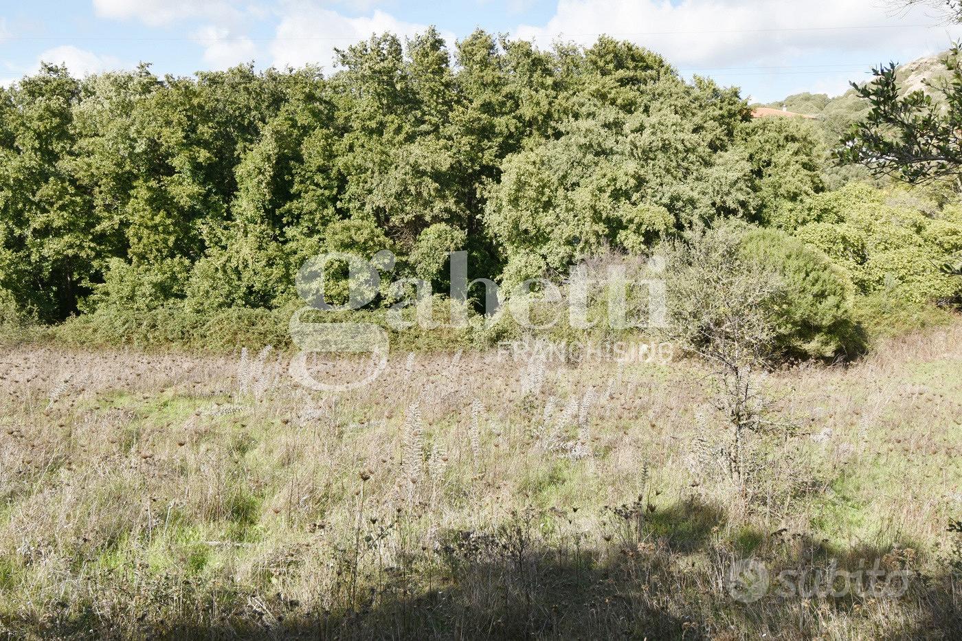 Terreno Agricolo Santa Teresa Gallura - Altro
