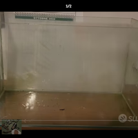 acquario completo 65 litri