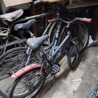 BICI VARIE MOUNTABIKE, DA PASSEGGIO, DA UOMO DA DO