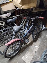 BICI VARIE MOUNTABIKE, DA PASSEGGIO, DA UOMO DA DO
