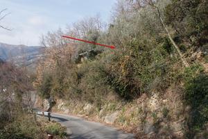 Appezzamenti di terreno alture Recco (GE)