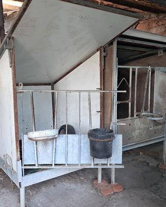 box  per vitelli