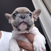 Di un nuovo alloggio