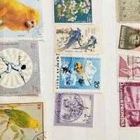 album collezione francobolli misti 