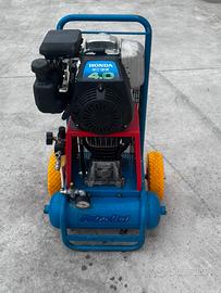Motocompressore x la raccolta delle olive