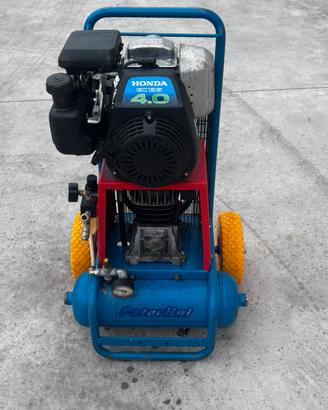 Motocompressore x la raccolta delle olive
