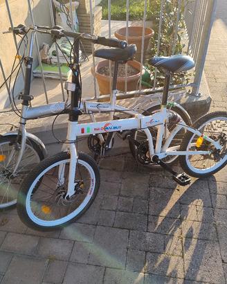 bici pieghevoli 