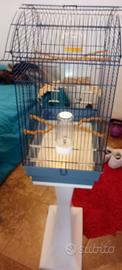 Gabbia uccelli pappagalli