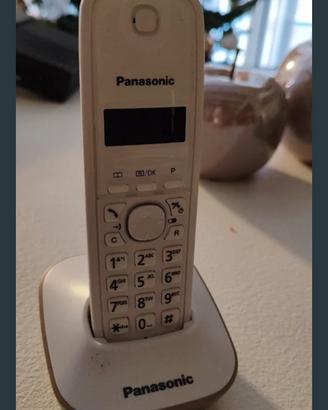 cordless Panasonic 