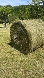 Fieno in ballette e balloni