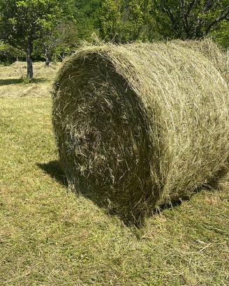 Fieno in ballette e balloni