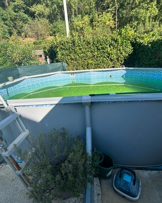 Piscina giardino