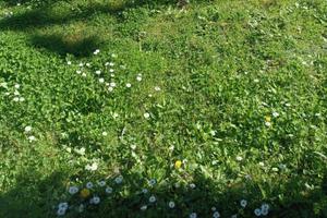 Rustico / Casale di 600 m² con più di 5 locali a C