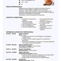 Operaio assemblatore.calzature