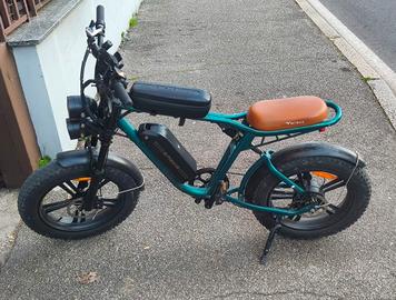 Bicicletta elettrica
