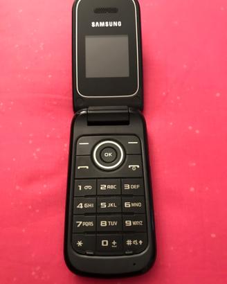 CELLULARE MARCA SAMSUNG GT E 1190